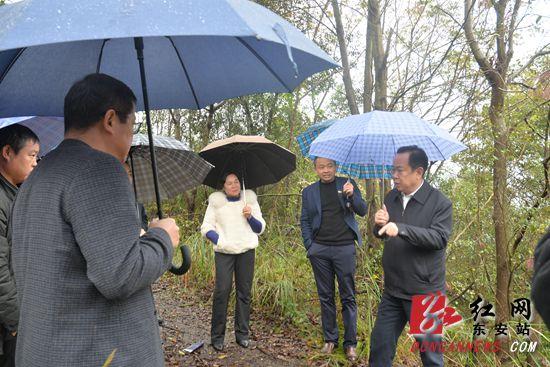 永州蒋善生最新职务（永州蒋善生新任职位揭晓）