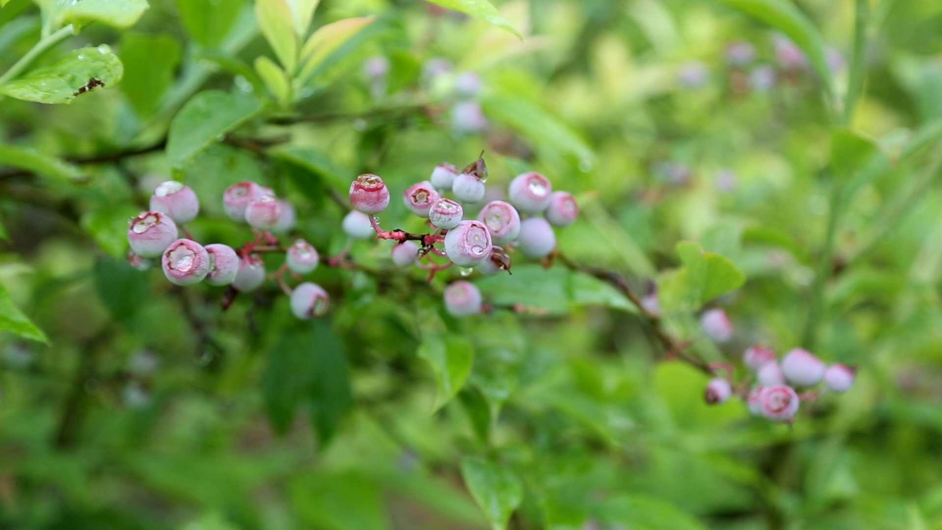 荣耀战场新篇章：英雄联盟赛事精彩瞬间揭晓