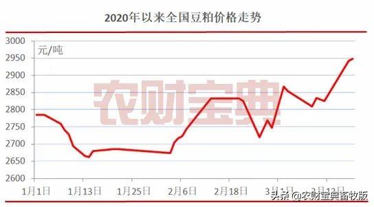 丰收喜讯：最新美豆粕市场动态盘点