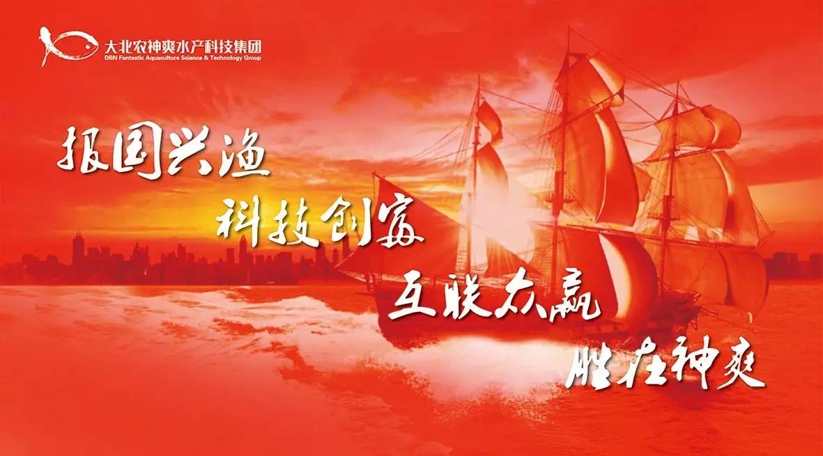 海航最新喜讯：辉煌篇章再续，美好未来启航！