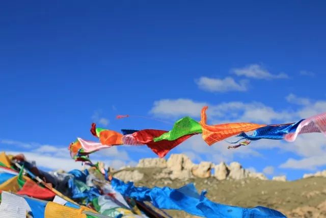 霍天擎黎湘共赏佳文，心灵之旅温馨启航